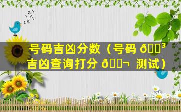 号码吉凶分数（号码 🐳 吉凶查询打分 🐬  测试）